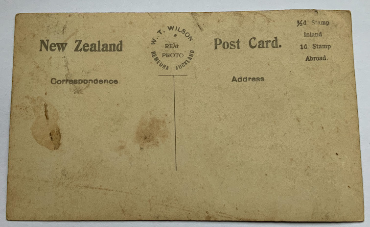 early 1900s New Zealand Wilson photograph postcard Grafton Bridge Auckland